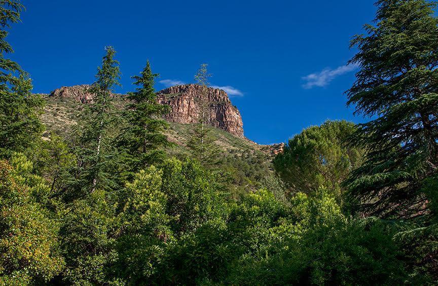 Briar Patch Inn Sedona Dış mekan fotoğraf
