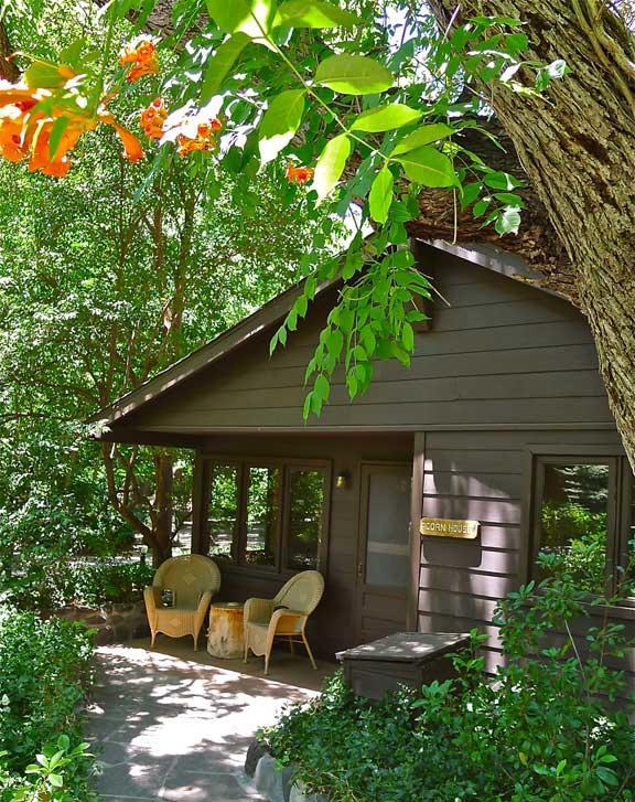 Briar Patch Inn Sedona Dış mekan fotoğraf